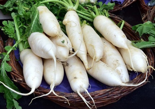 Know when radish should be eaten in winter and when not... What does Ayurveda say?