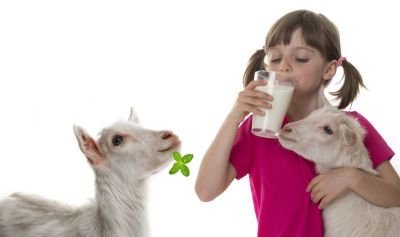 GOAT'S MILK REMOVES THE PROBLEM OF ANEMIA