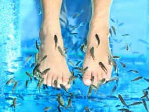 Do not get fish spa done even by mistake, you can become victim of these diseases