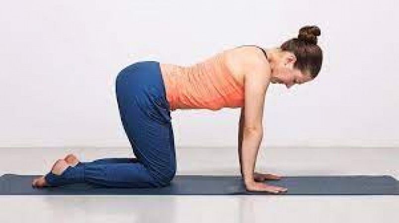 Yoga Tips: You can also do these four yoga asanas, it benefits your body