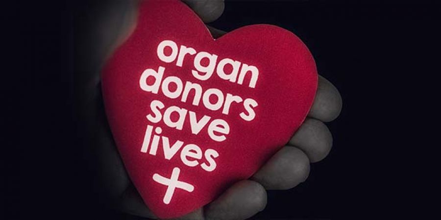 Organ Donation Day:  All you need to know about this life-giving procedure