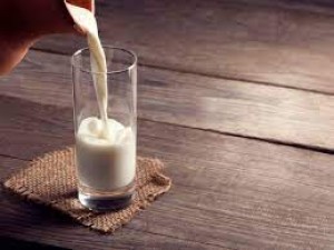 सर्दियों में दूध उबालकर पिएं ये चार चीजें, आपका शरीर गर्म रहेगा और दिमाग रहेगा तेज