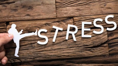 Mastering Stress: Effective Techniques to Manage and Reduce Daily Stress