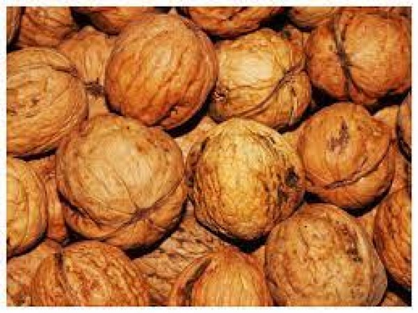 Walnut protects from arthritis and swelling, also useful in Parkinson's, its properties will astonish you!