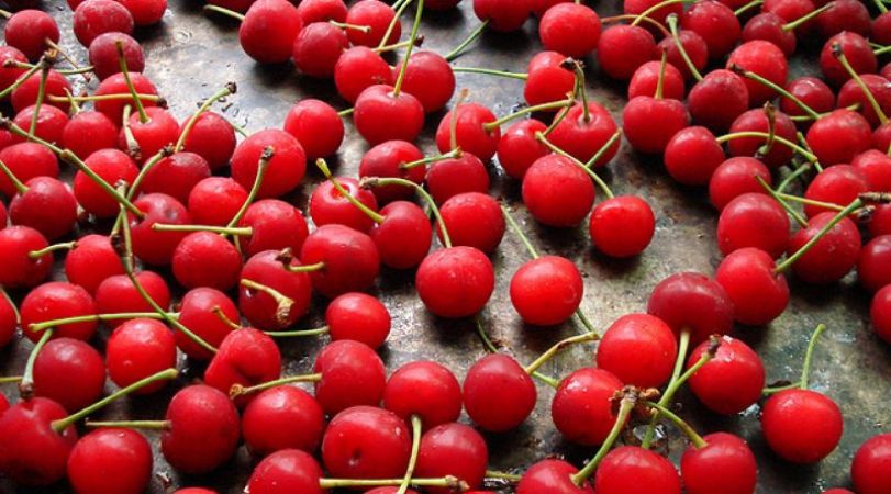 Cherry is beneficial for eyes-Report