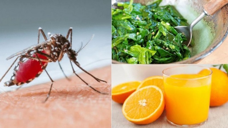 How to Speed Up Dengue Recovery: Nutritional Strategies and Best Practices