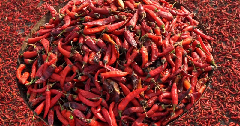 Eating too much red chilli can cause serious harm to the body