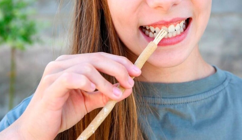 How to Use Miswak for Oral Health