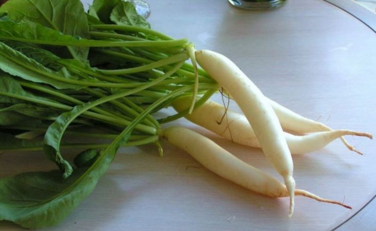 Check out the benefits of eating Radish