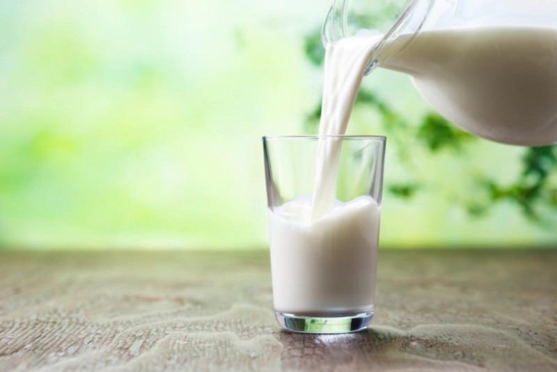 Cow or buffalo...whose milk is more beneficial? Know which milk should be drunk at what age?