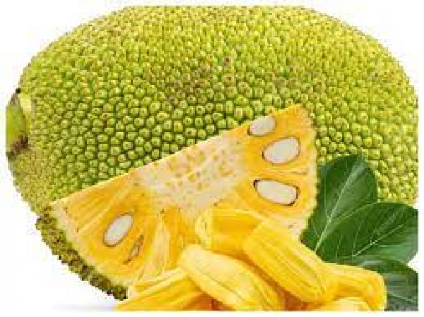 After eating jackfruit, do not eat these things even by mistake, know its disadvantages
