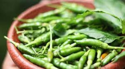 Do you know the benefits of eating green chillies?