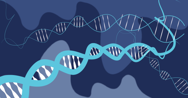How genetics influences how we live our lives