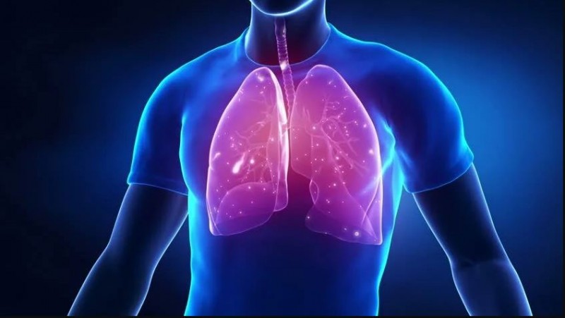 Understanding the Immune Response to Influenza in Lung Cells