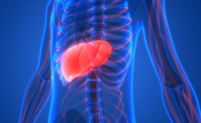 Foods to Treat Fatty Liver Disease
