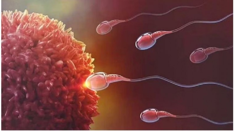 CCMB research identifies 8 novel genes for male fertility