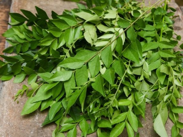 Many health secrets are hidden in curry leaves, eat only four leaves on an empty stomach in the morning