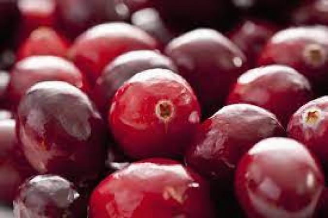 Cranberry takes care of everything from diabetes to liver, know its more benefits