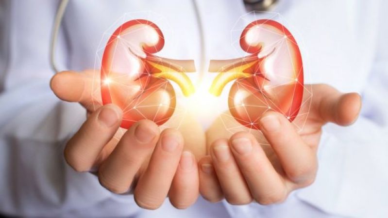 Breathing in polluted air can severely damage your Kidney, revealed in research