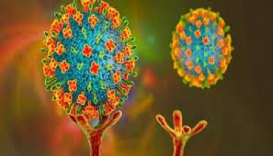 जिसे आप समझ रहे है सामान्य फ्लू वो असल में निकला खतरनाक निपाह वायरस, जानिए इसके लक्षण