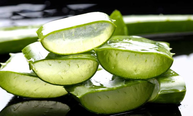 You must know these 5 uses of 'Aloe Vera'