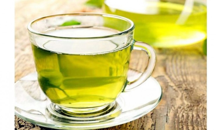 Study find consuming Green tea and cocoa-supplemented diets help improve survival in elderly