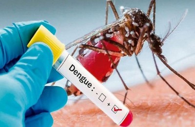 दिल्ली में महामारी घोषित डेंगू, चिकनगुनिया और मलेरिया