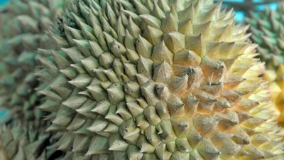 10 Promising Health Benefits of the Nutritious Durian Fruit
