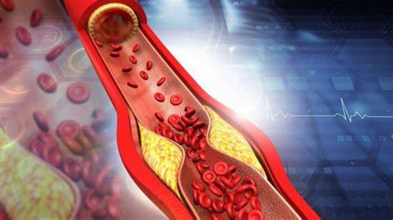Increase in cholesterol is dangerous, what happens if its level becomes too low?