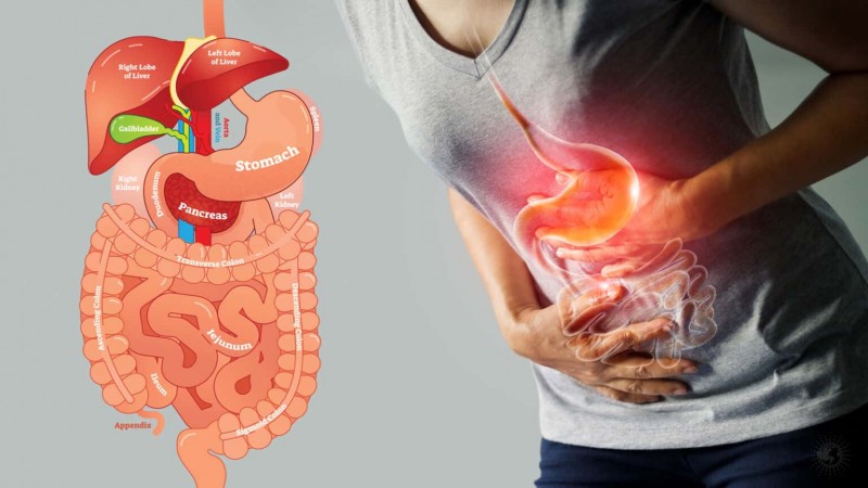 Adopt these 5 good habits to strengthen the digestive system