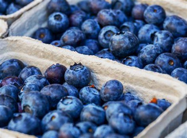 Blueberries are very beneficial for the heart