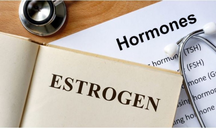 Balancing Estrogen Hormones: Understanding, Managing, and Optimizing Levels