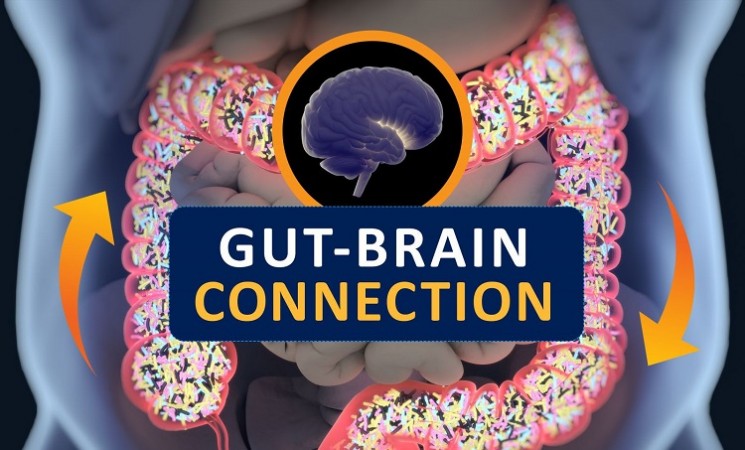 What is Gut Feelings: How Your Digestive System Shapes Your Mind and Mood