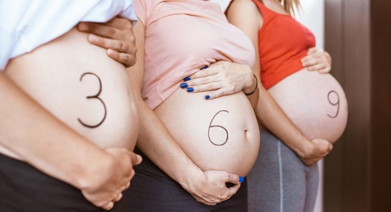 Learn What Pregnant Women Should Eat and Avoid During Months 1 to 9
