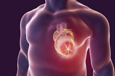 Attention ! Heart diseases are increasing due to deficiency of this special vitamin, even a small mistake can cost your life