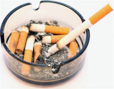 ऐसे तम्बाकू जिनमें निकोटिन की मात्रा 40-50% तक हो जाएगी कम
