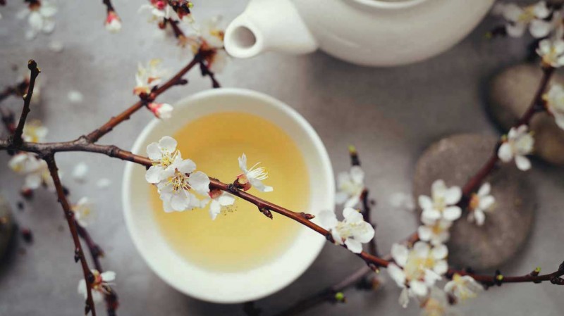 What is White Tea?