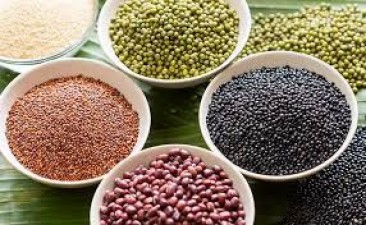 Eat pulses, lose weight, these 5 pulses are great for weight loss, you get plenty of protein