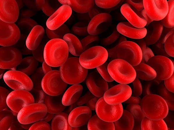 What is hemophilia? In which if bleeding starts then it does not stop!