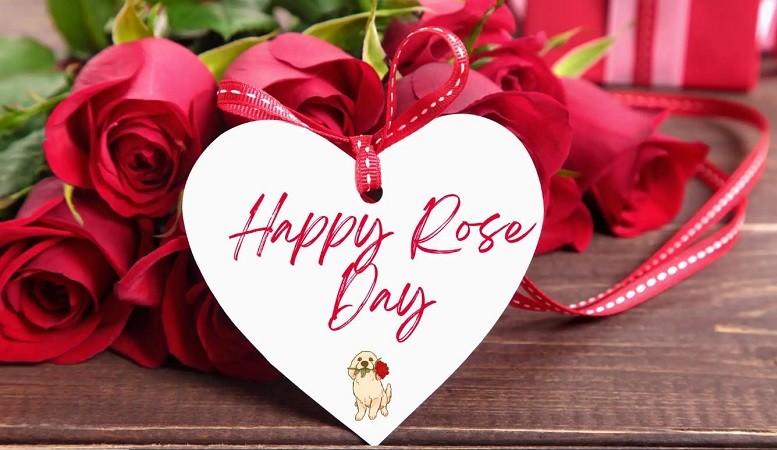 Celebrating Love, Affection: All You Need to Know About Rose Day 2024