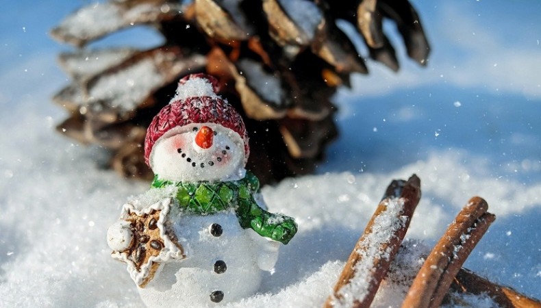 World Day of the Snowman: Embracing Frosty Fun and Winter Wonder