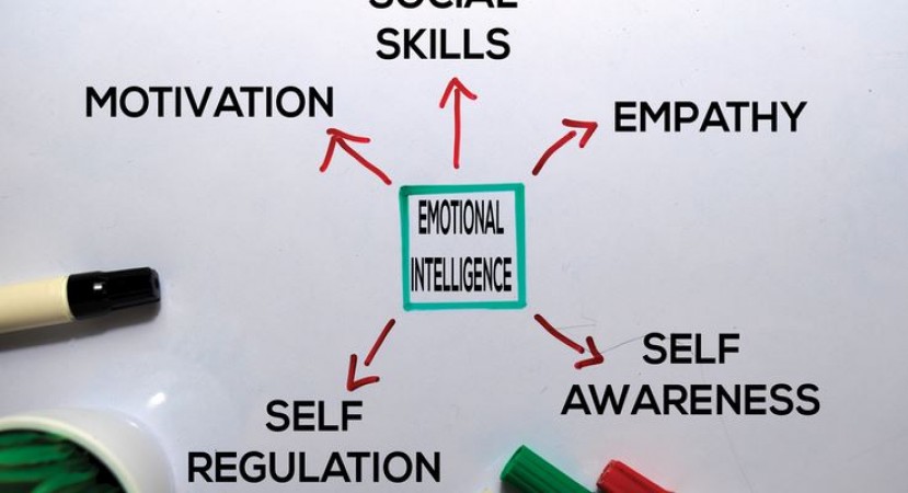 Understanding Emotional Intelligence: Enhancing Relationships and Success