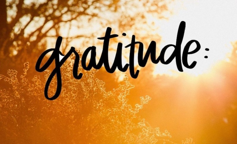 The Power of Gratitude: Cultivating a Thankful Mindset