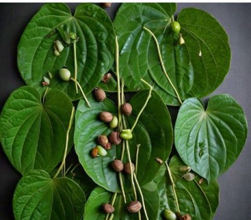 Unlock Glowing Skin with Betel Leaves: A Natural Beauty Secret