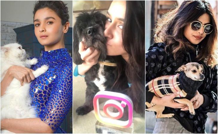 Bollywood's love for pets