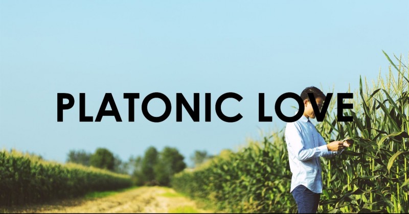 Platonic Relationships: Nurturing Non-Romantic Connections