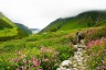 सिक्किम की फूलों की घाटी, जहां स्वर्ग घूमने का करेगा मन