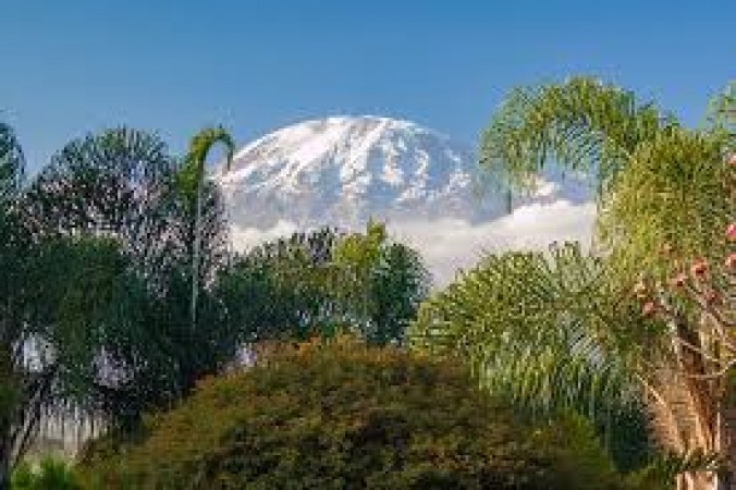Conquering the Roof of Africa: A Trek to Mount Kilimanjaro's Majestic Summit