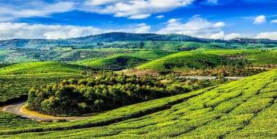 A Journey to Munnar: Where Nature Paints Its Finest Canvas