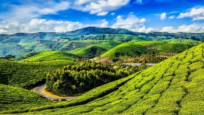 From Munnar to Athirapally: Discovering Kerala's Top 5 Must-See Places
